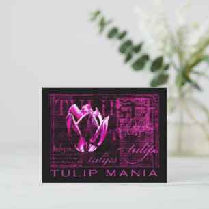 Tulip Mania Postcard
