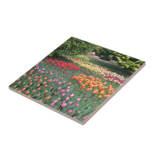 TULIP MEADOW TILE