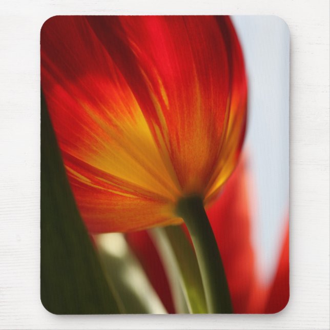 Tulip Mouse Mat (Front)
