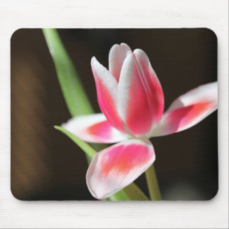 Tulip Mouse Mat