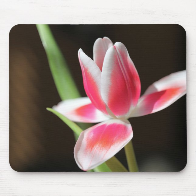 Tulip Mouse Mat (Front)