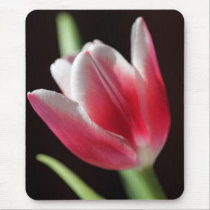 Tulip Mouse Mat