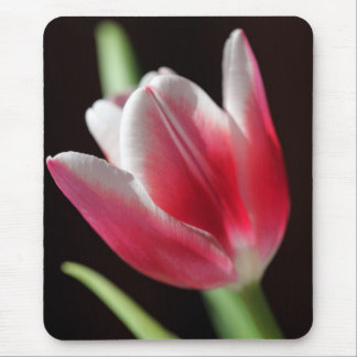 Tulip Mouse Mat