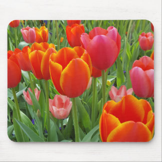 Tulip Mouse Mat