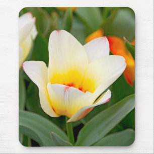 Tulip Mouse Mat