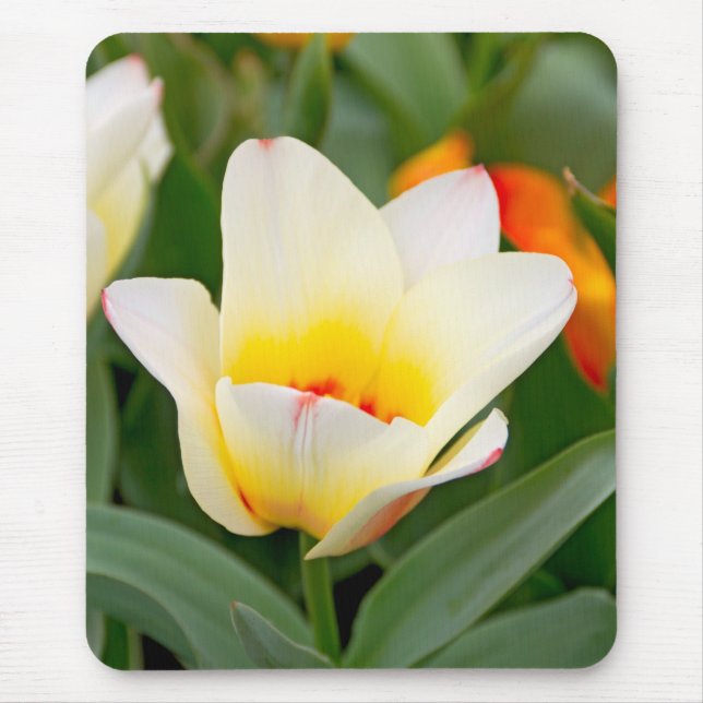 Tulip Mouse Mat (Front)