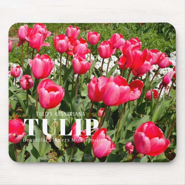 Tulip Mouse Mat (Front)