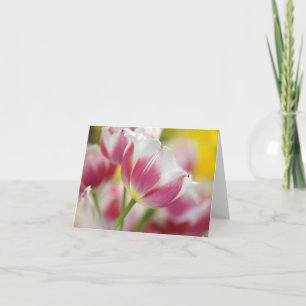 Tulip Note Cards