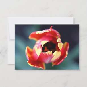 Tulip Notecard