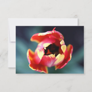 Tulip Notecard