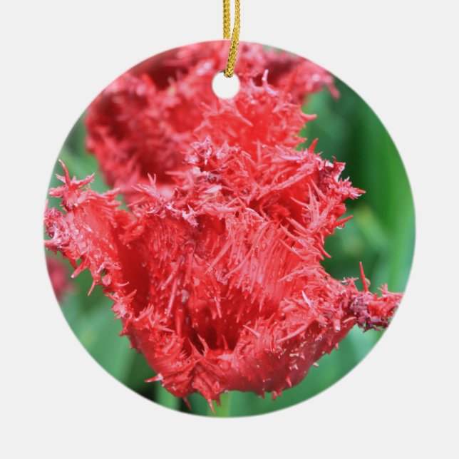 Tulip Ornament (Front)