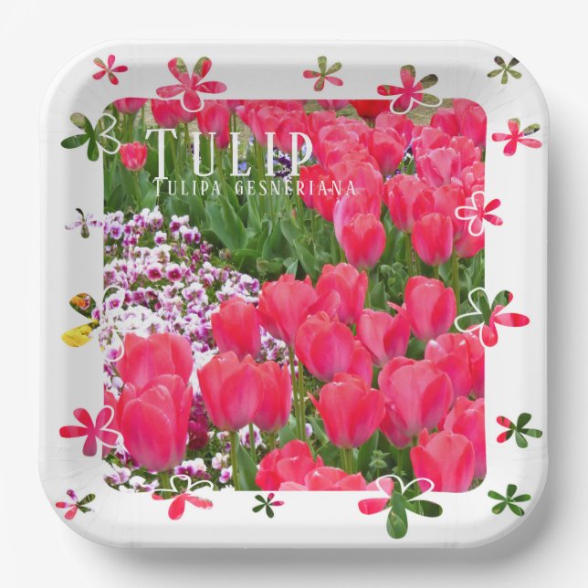 Tulip Paper Plate (Front)