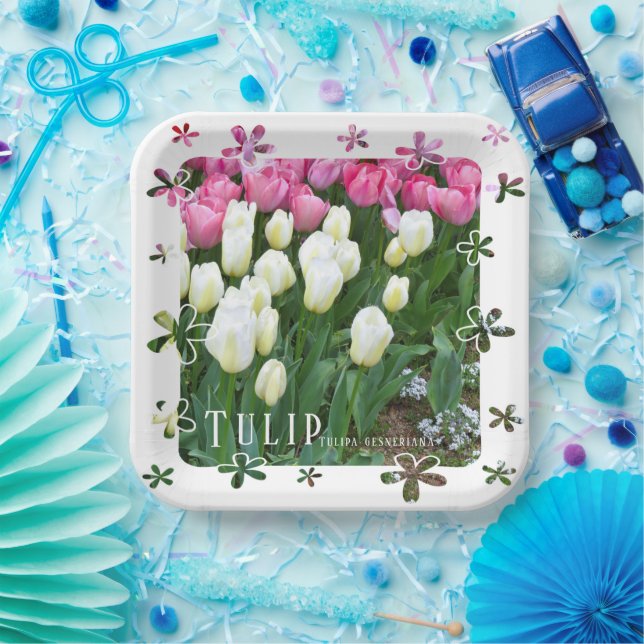 Tulip Paper Plate (Party)