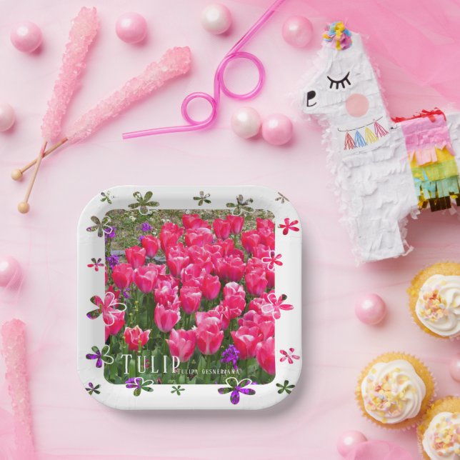 Tulip Paper Plate (Party)