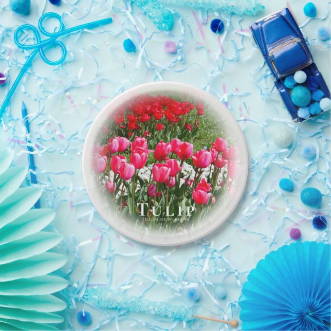 Tulip Paper Plate (Party)