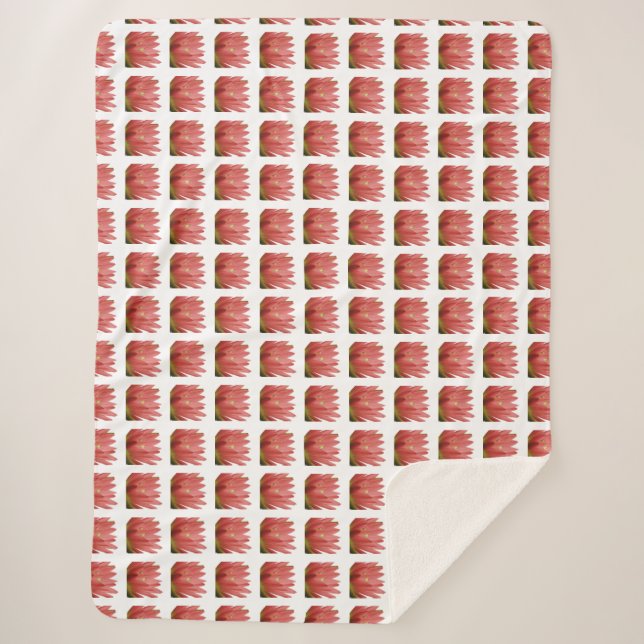 Tulip Pattern Sherpa Blanket (Front)