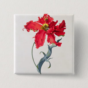 Tulip: Perroquet Rouge 15 Cm Square Badge
