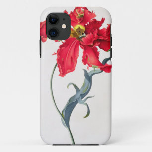 Tulip: Perroquet Rouge iPhone 11 Case