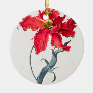 Tulip: Perroquet Rouge Ceramic Tree Decoration