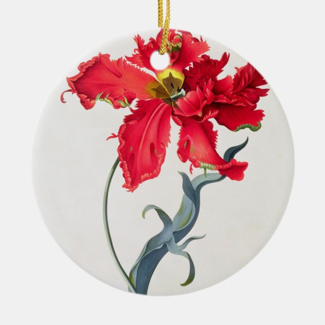 Tulip: Perroquet Rouge Ceramic Tree Decoration (Front)