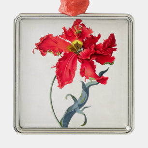 Tulip: Perroquet Rouge Metal Tree Decoration