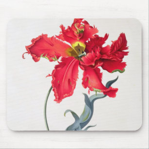 Tulip: Perroquet Rouge Mouse Mat