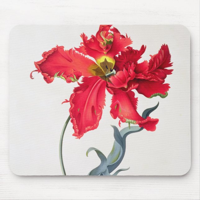 Tulip: Perroquet Rouge Mouse Mat (Front)