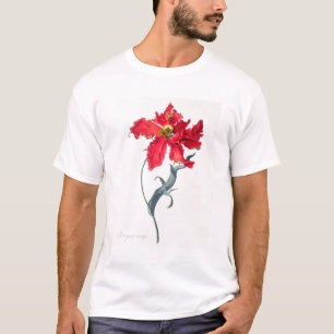 Tulip: Perroquet Rouge T-Shirt