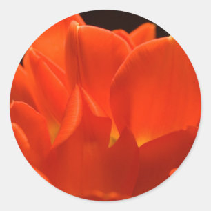Tulip Petals Stickers
