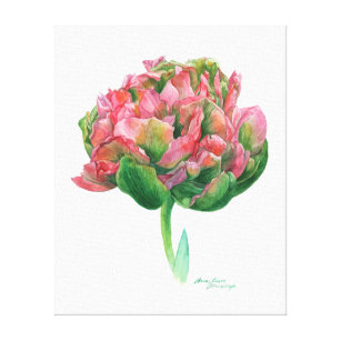 Tulip pink green Botanical watercolor Canvas Print