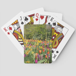 Tulip Playing Cards