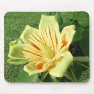 Tulip Poplar Bloom Mouse Mat