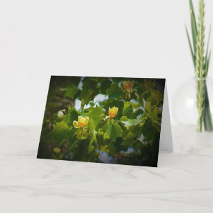 Tulip Poplar Blossom, card