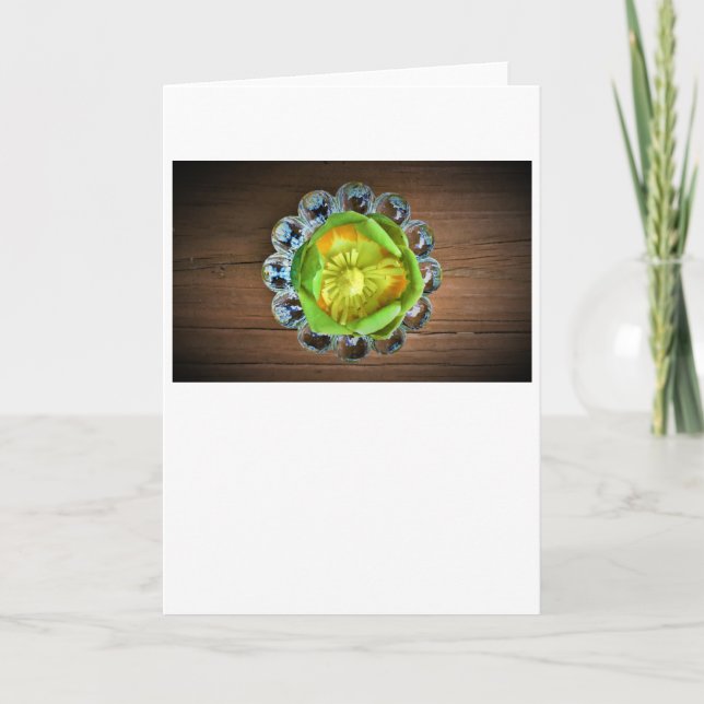 Tulip Poplar Blossom, card (Front)