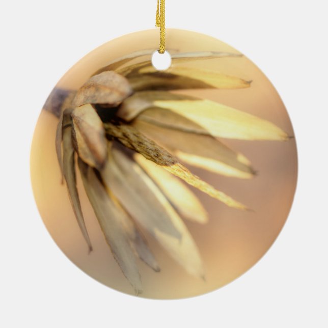 Tulip Poplar Empty Seed Pod Ceramic Tree Decoration (Back)