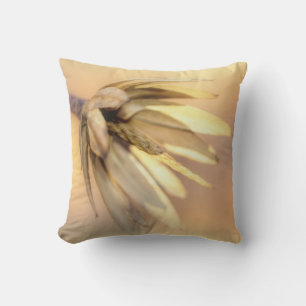 Tulip Poplar Empty Seed Pod Cushion