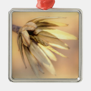 Tulip Poplar Empty Seed Pod Metal Tree Decoration