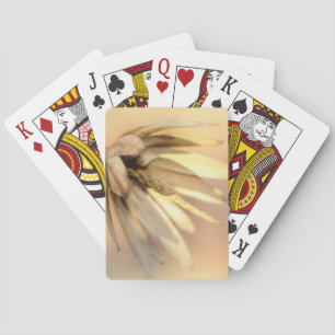 Tulip Poplar Empty Seed Pod Playing Cards