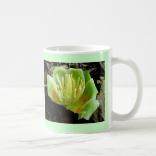 Tulip Poplar Flower Cup