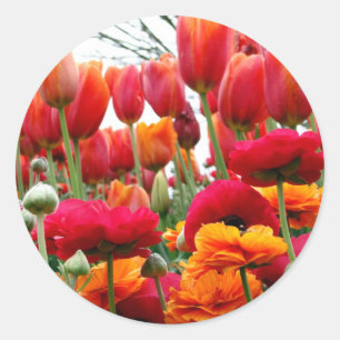 Tulip Poppy Dance Classic Round Sticker