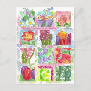 Tulip Poppy Rose Red Flower Collage Postcard