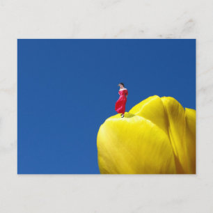 Tulip Postcard