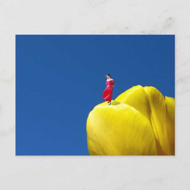 Tulip Postcard (Front)