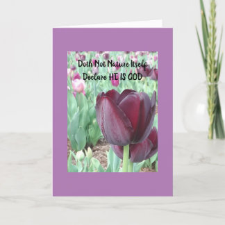 Tulip Praise Card Songs of the Sunrise
