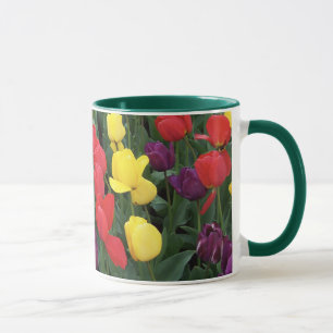 Tulip Rainbow Mug