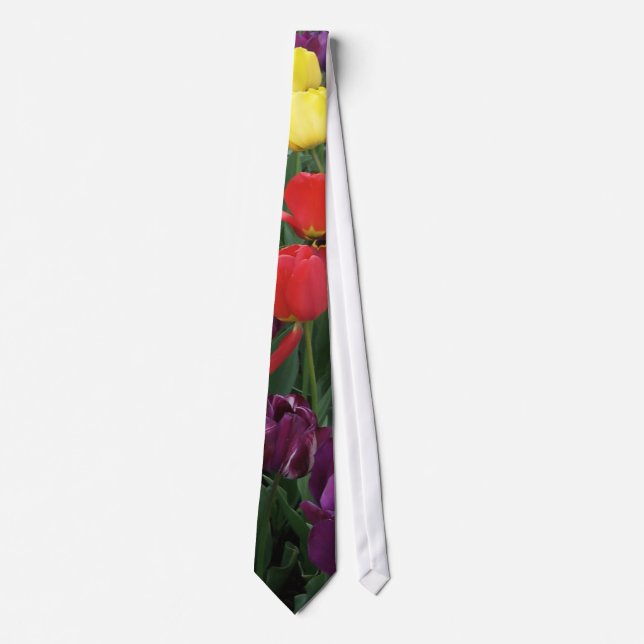 Tulip Rainbow Tie (Front)