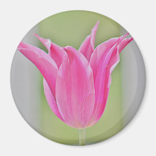 Tulip refrigerator magnet