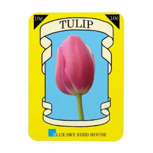 Tulip Seed Packet Magnet