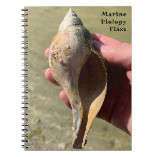 Tulip Shell Marine Snail Photography Custom Title  Notebook