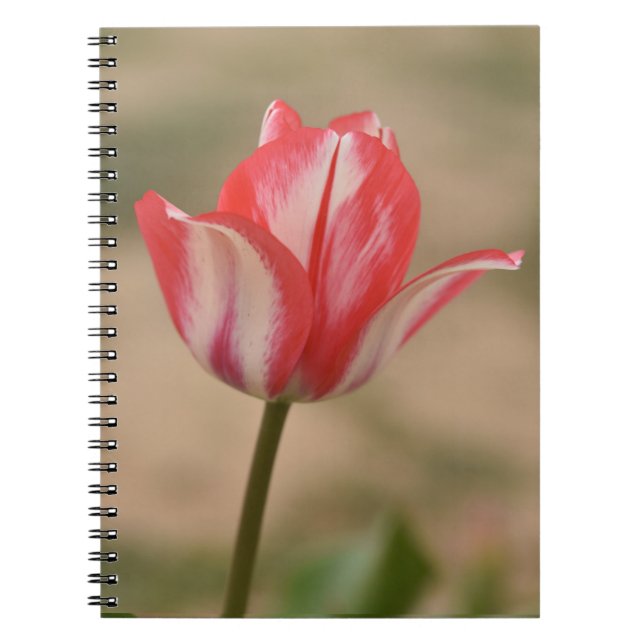 Tulip Spiral Notebook/Journal Notebook (Front)